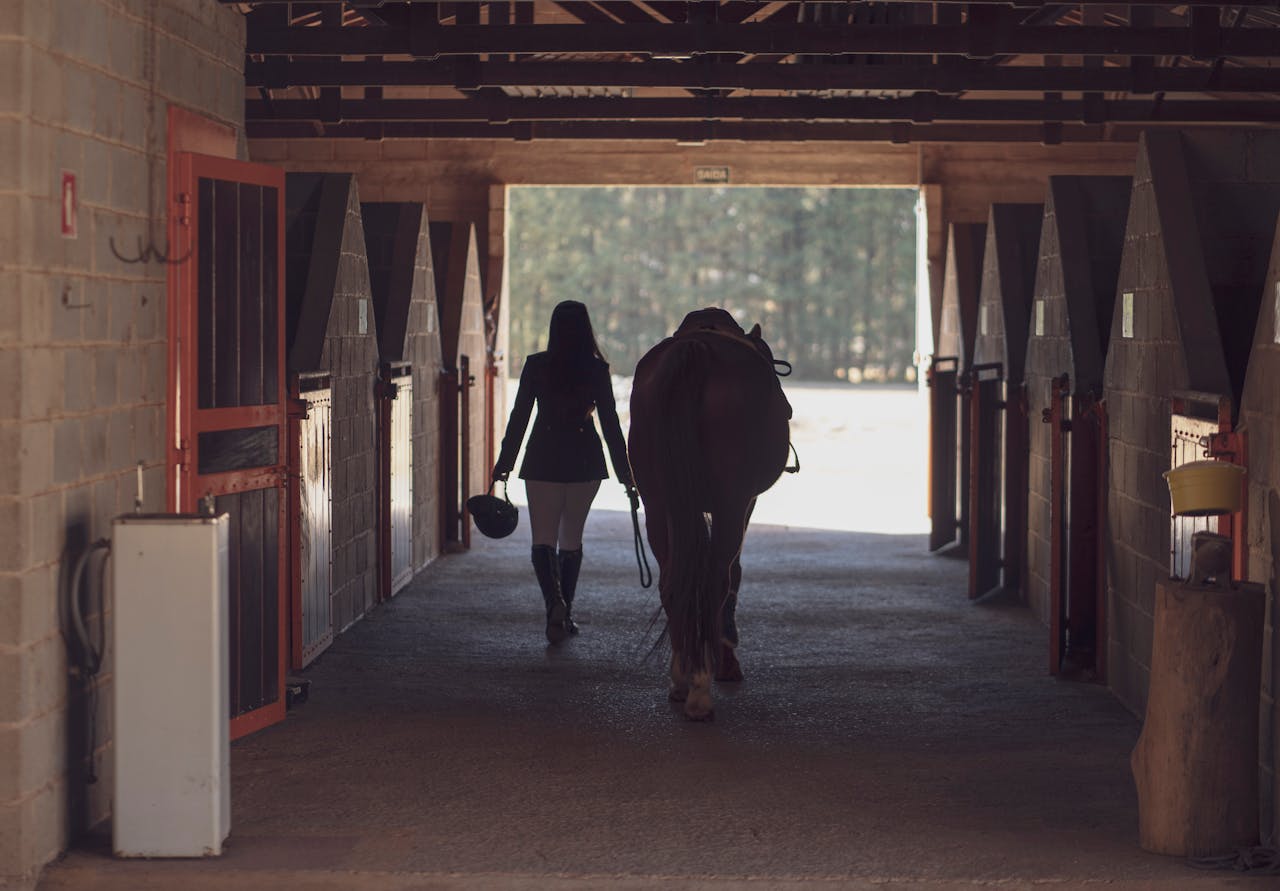 hero-img-01 A rider leads her horse through a stable aisle, highlighting the bond between horse and rider.